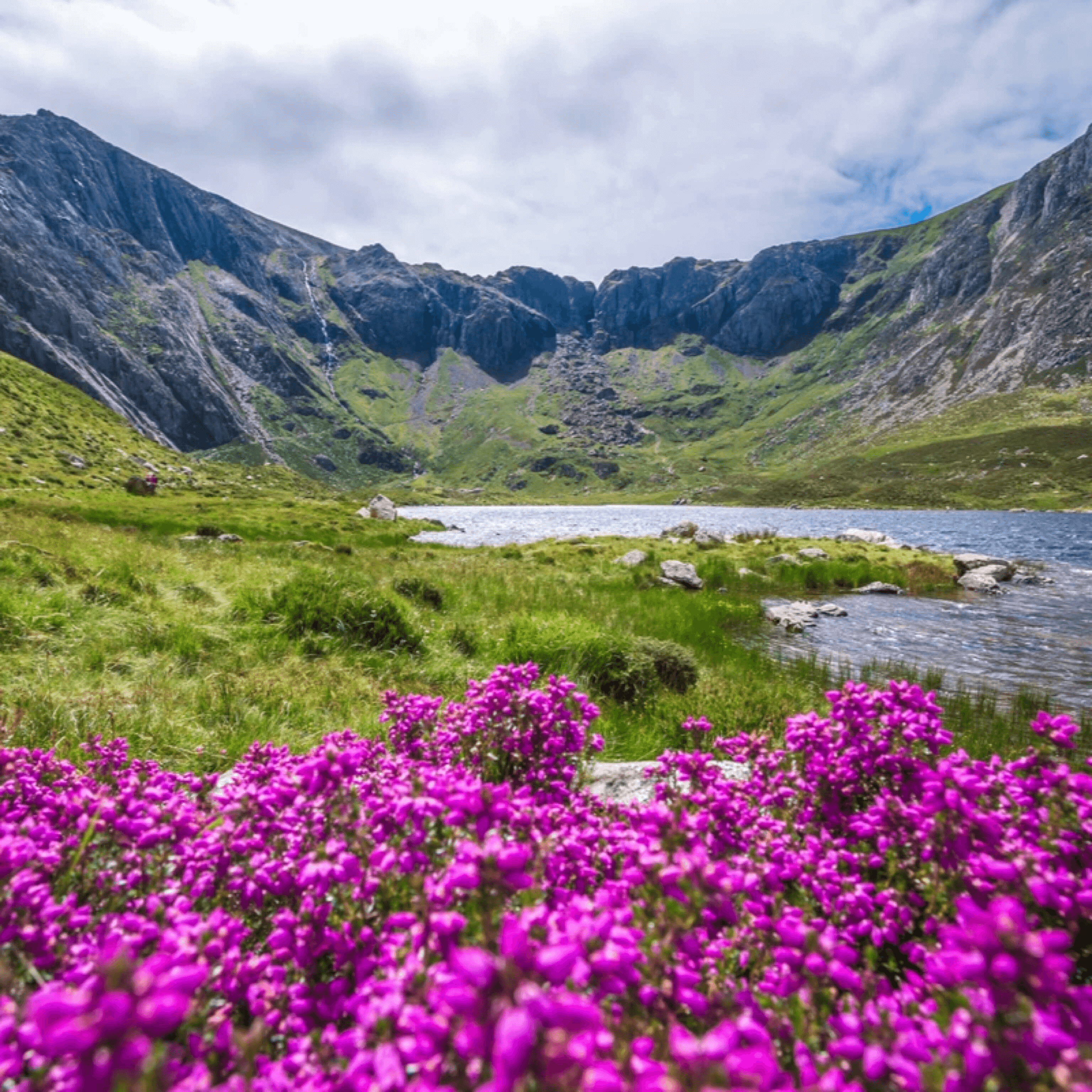 2916594F 4D11 4D61 979C 1E7BB18AC9D5