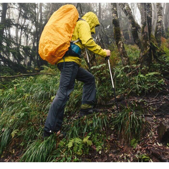 6801F9BF F0A3 4CBB BA44 E1AB3D1A166C