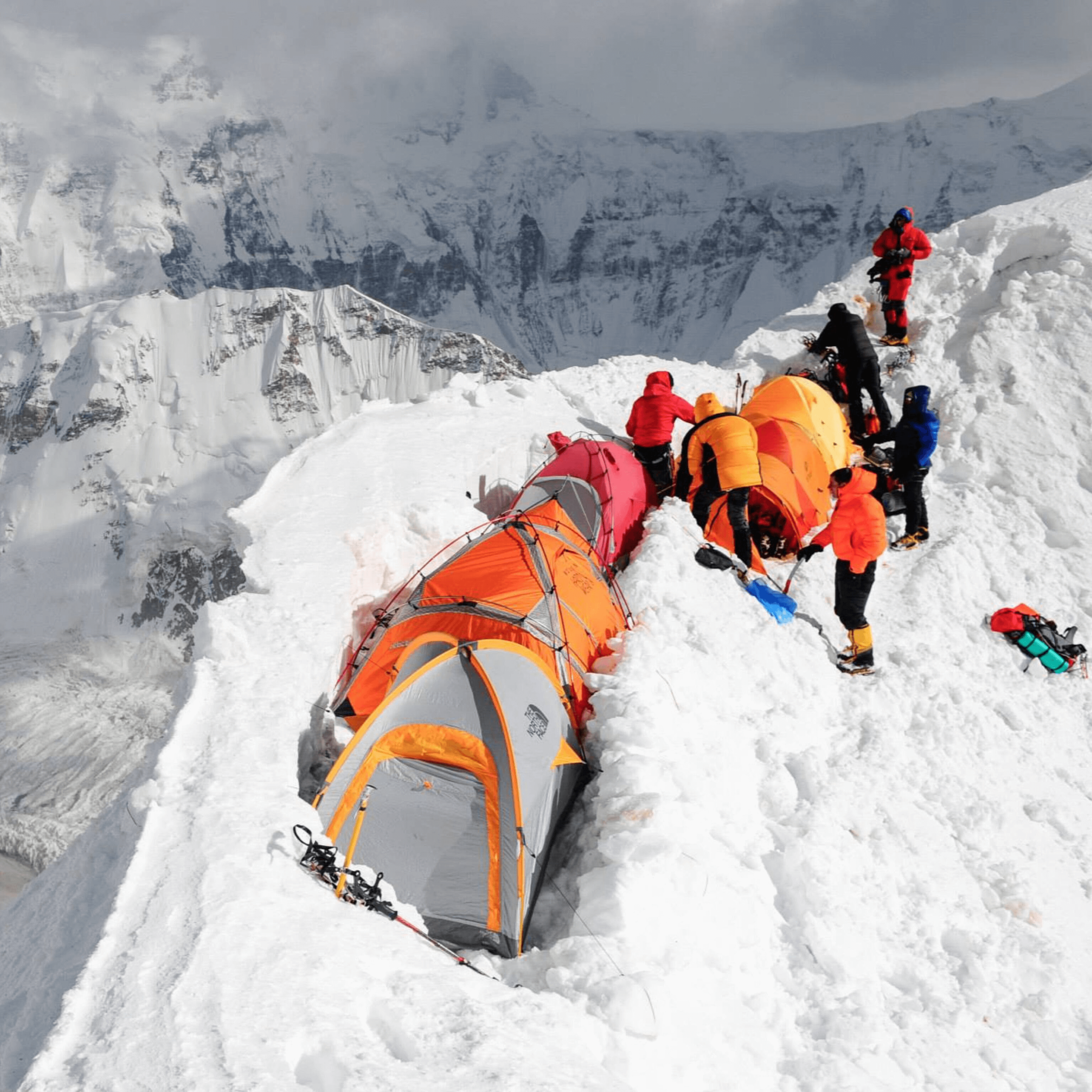 6D901644 0841 4847 8803 63A84EFC8BBB