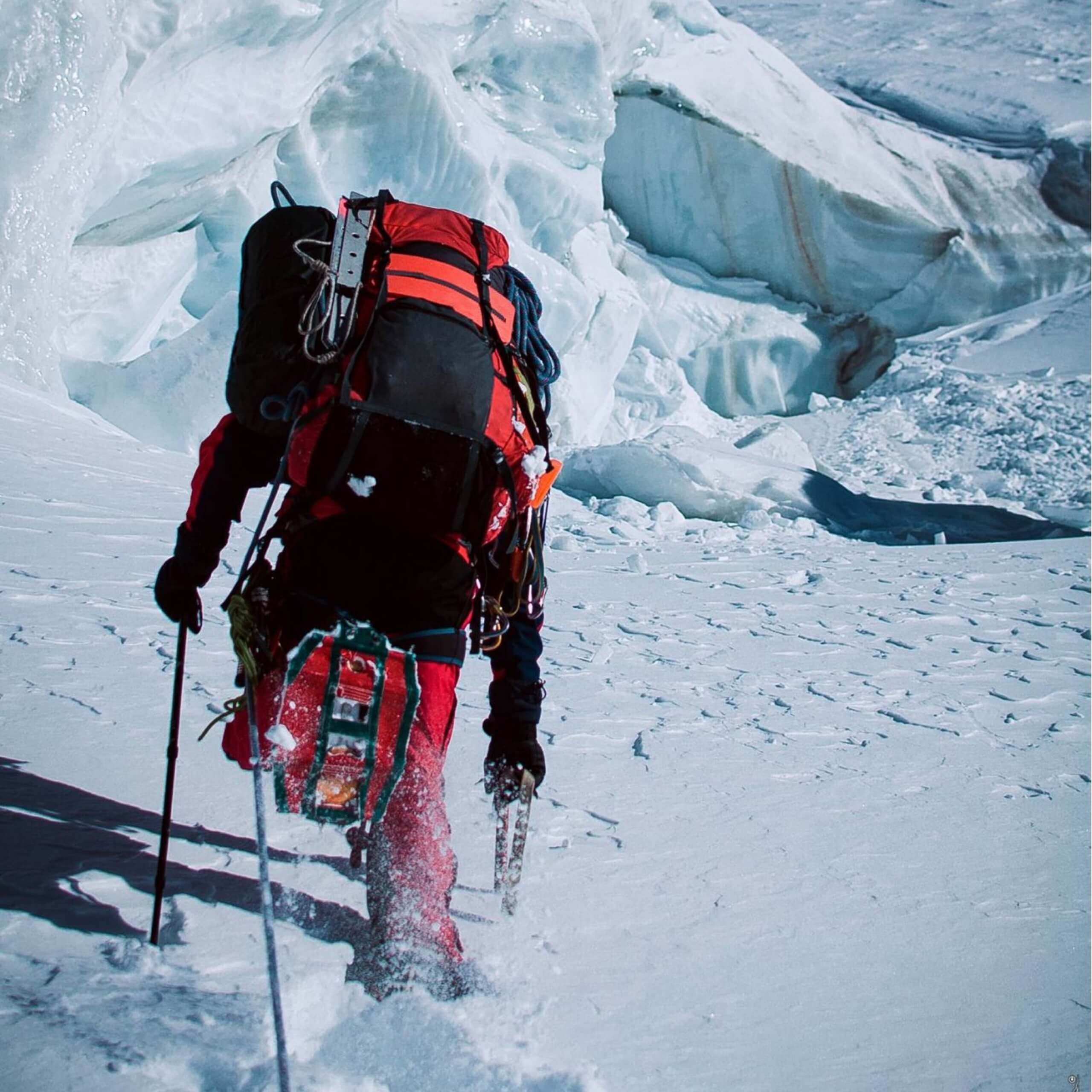 CF8CCDB0 8058 484B 86D8 B5B31E846375 scaled