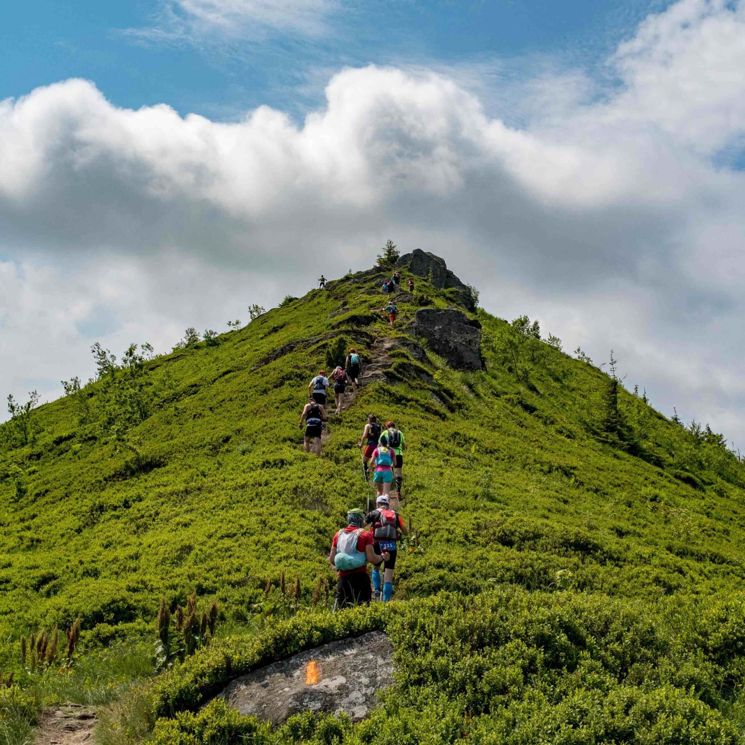 DA2585D0 7B7F 477F BF4A 1BA3D736D508 scaled