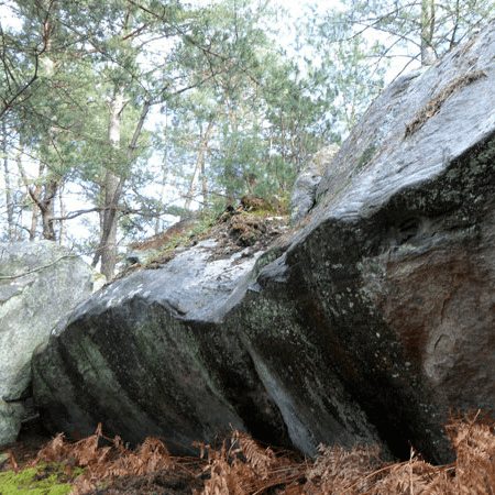 TraveFranchardSablons02copy