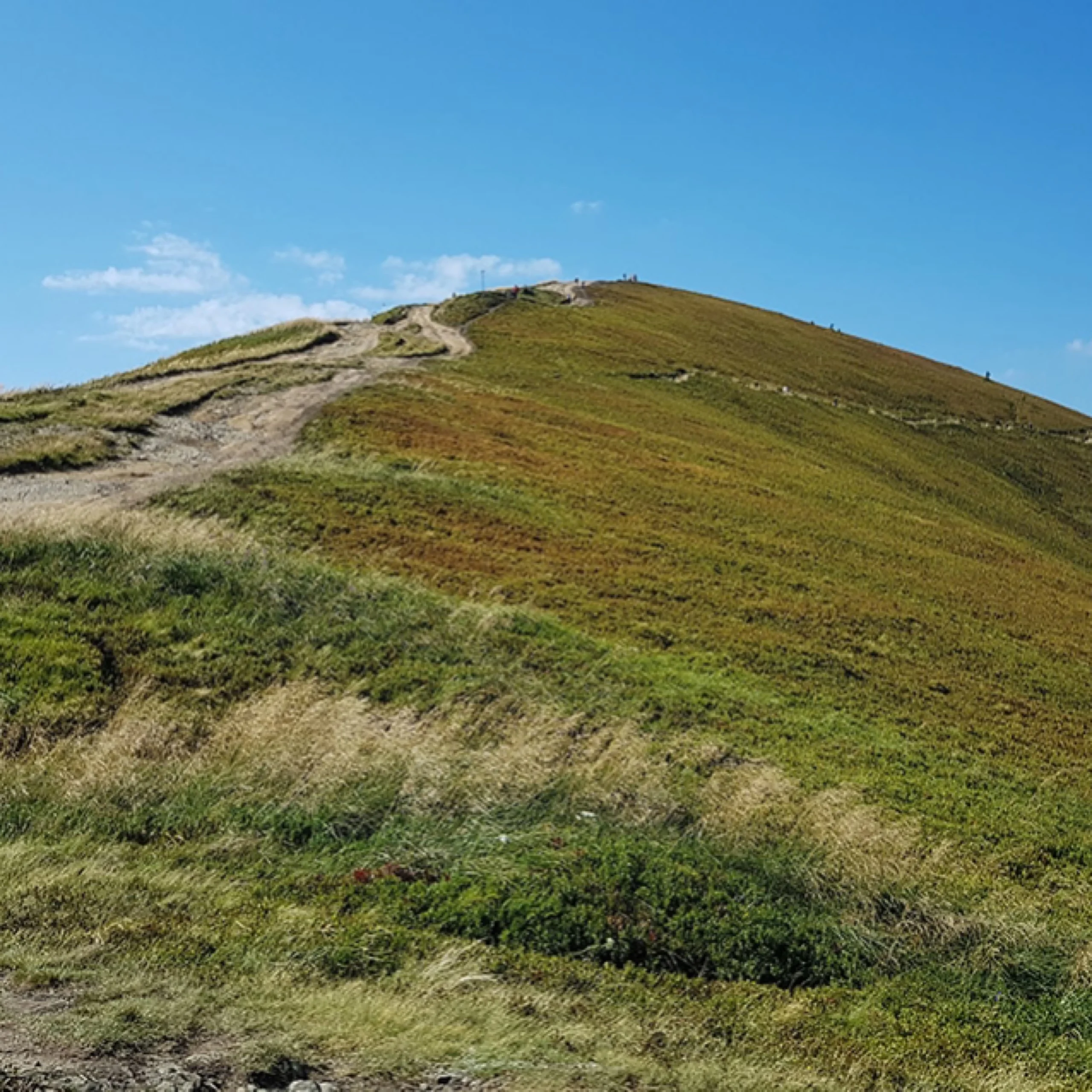 0B195B22 13A7 4749 BC63 E42C792959D0 scaled