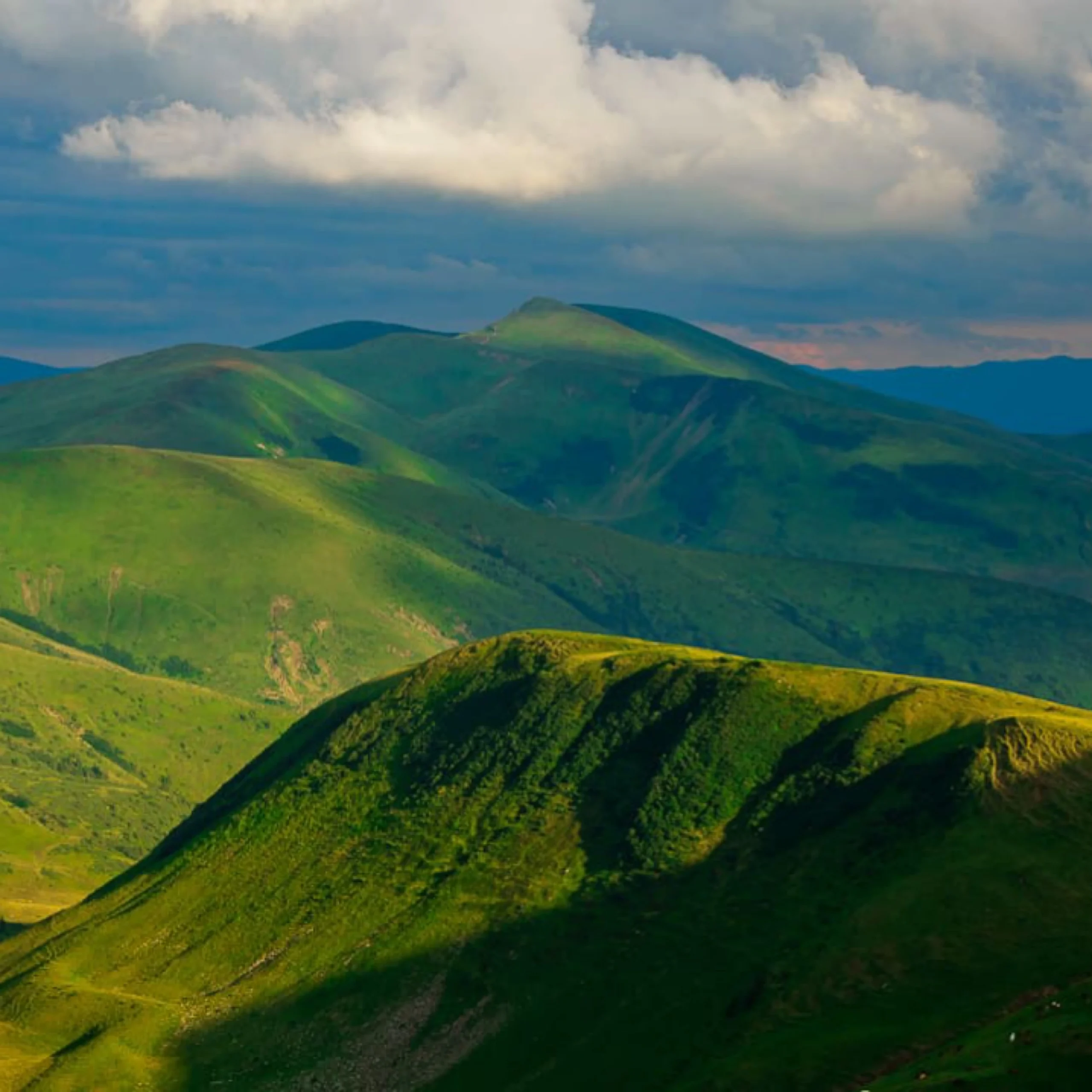 1360B2B6 FA46 40F3 9346 FED9FC65A119 scaled