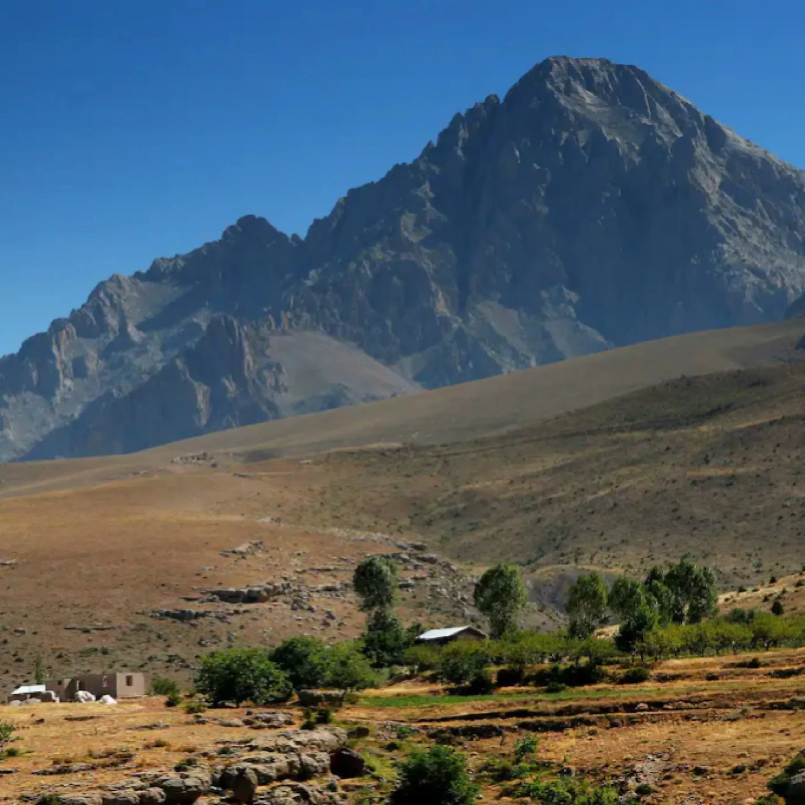 2319BA5D BE28 44E1 AF52 247FE3EBF0D4 scaled