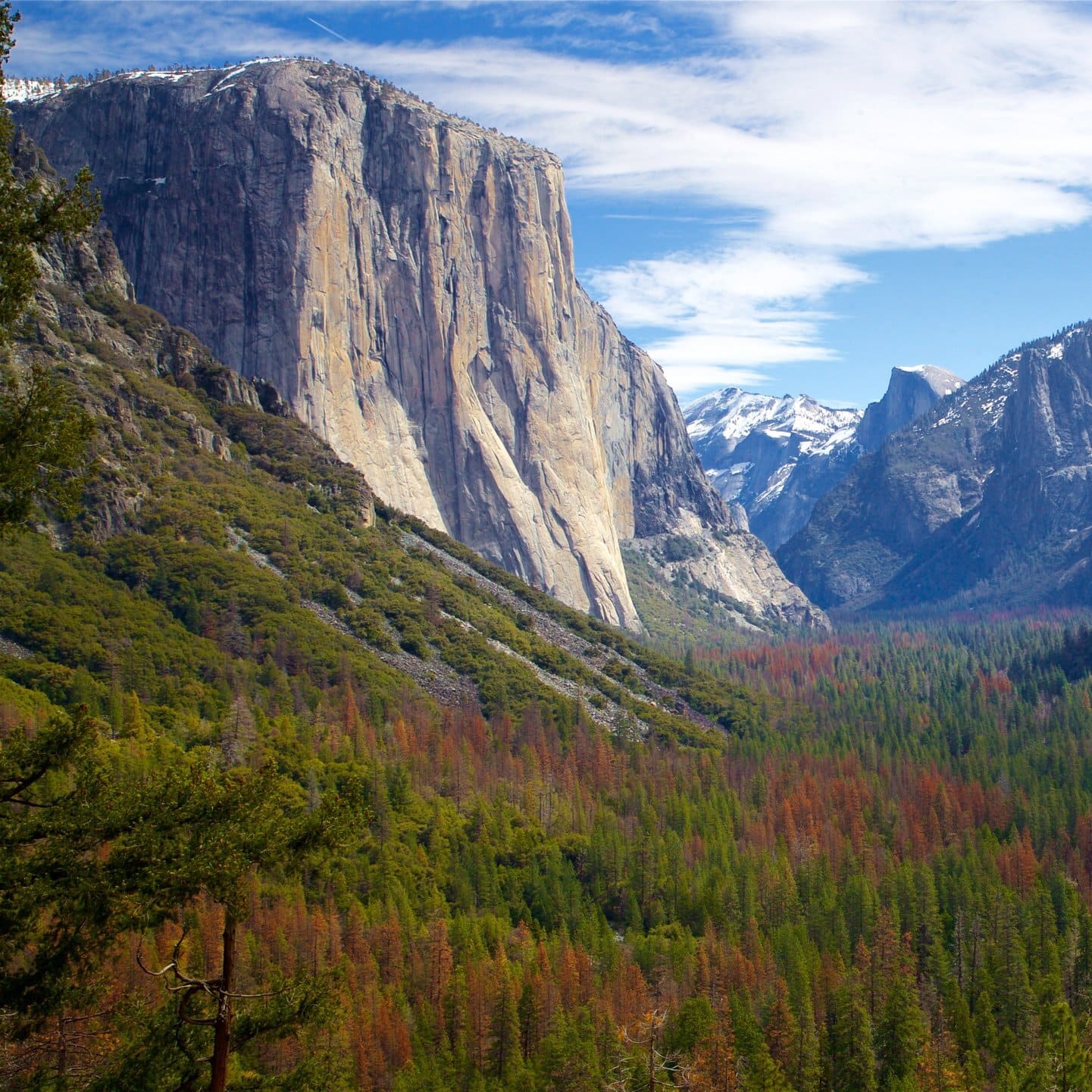 241460 Yosemite National Park 1