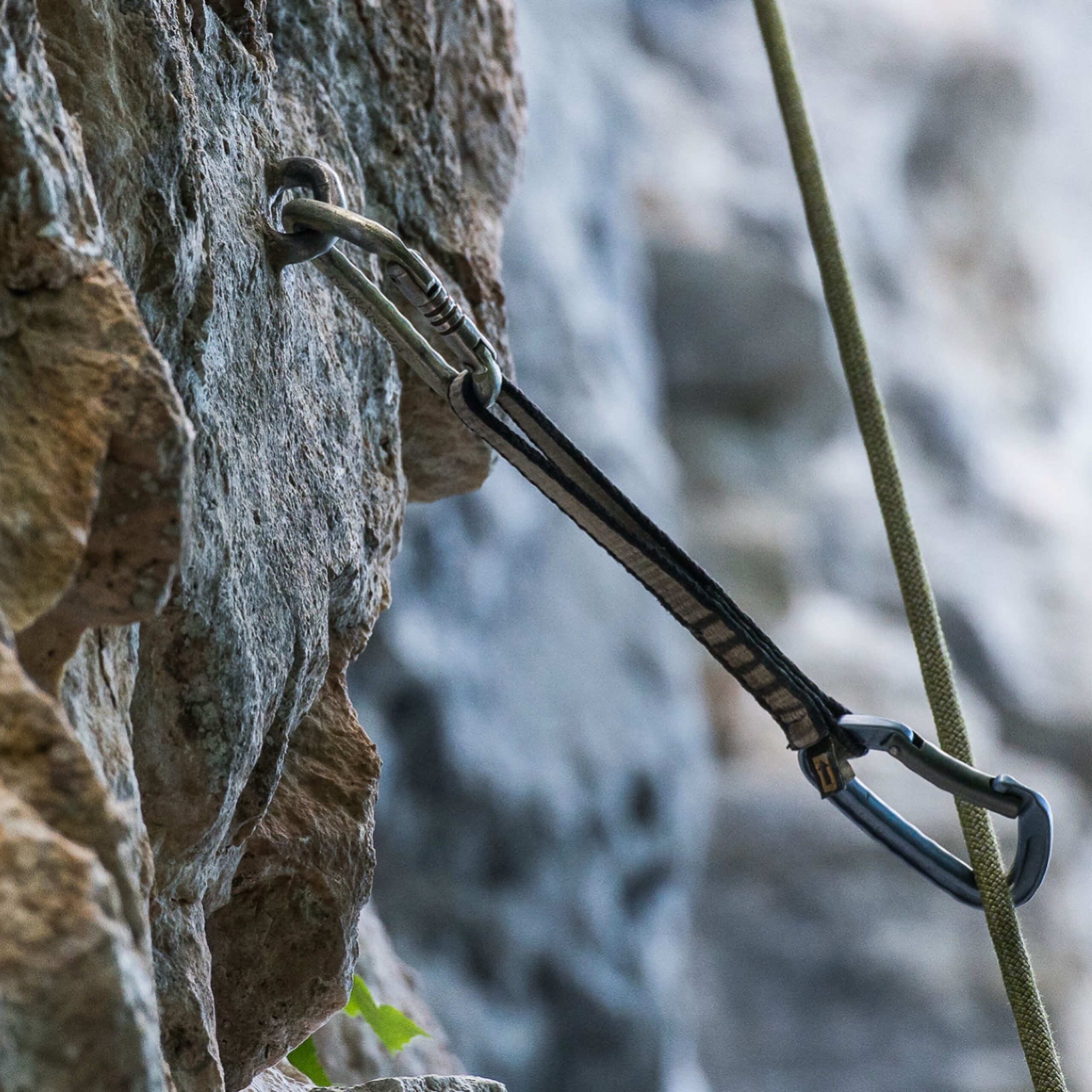 345BB1C6 59A8 42CA 900B 55AF782AD9A0 scaled