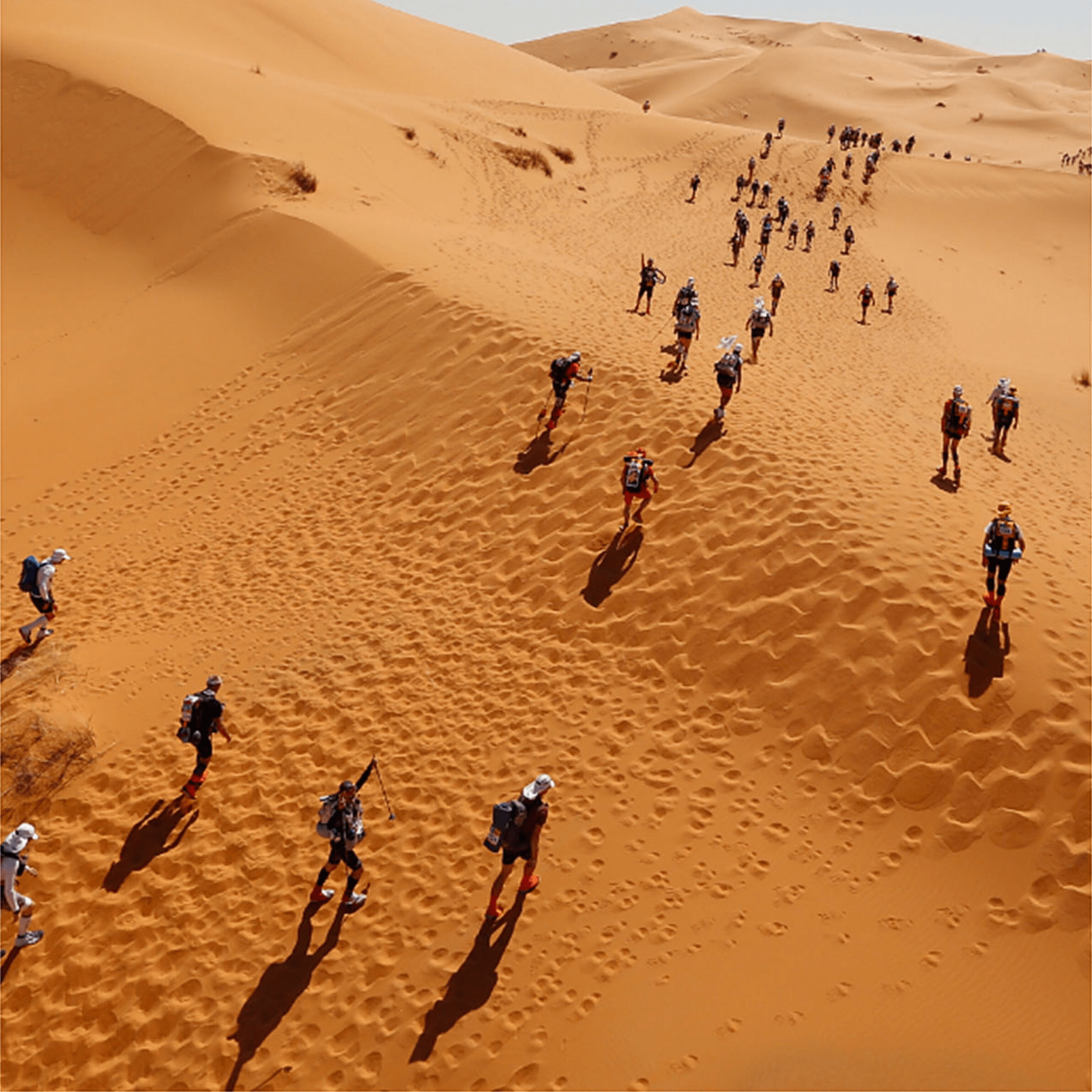 52B3E584 5F10 42E4 B416 CA1F4A460E81