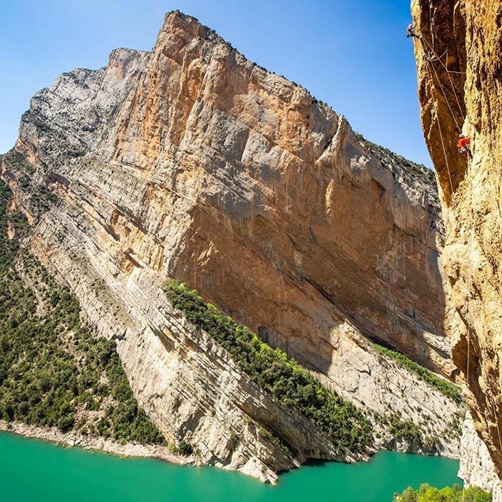 sense retorn siebe vanhee