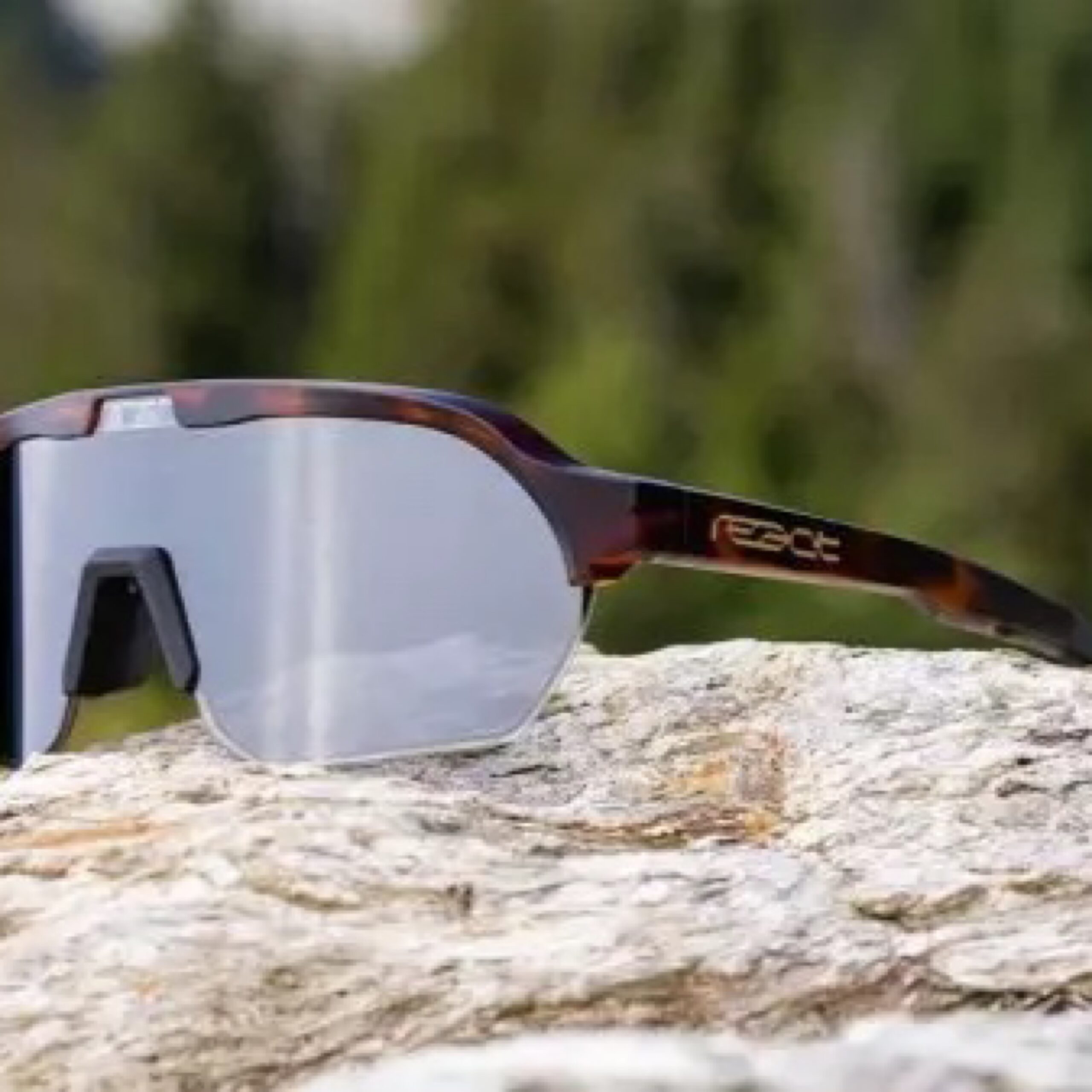 5C77209A 9296 4E10 B8D9 54B438309E05 scaled