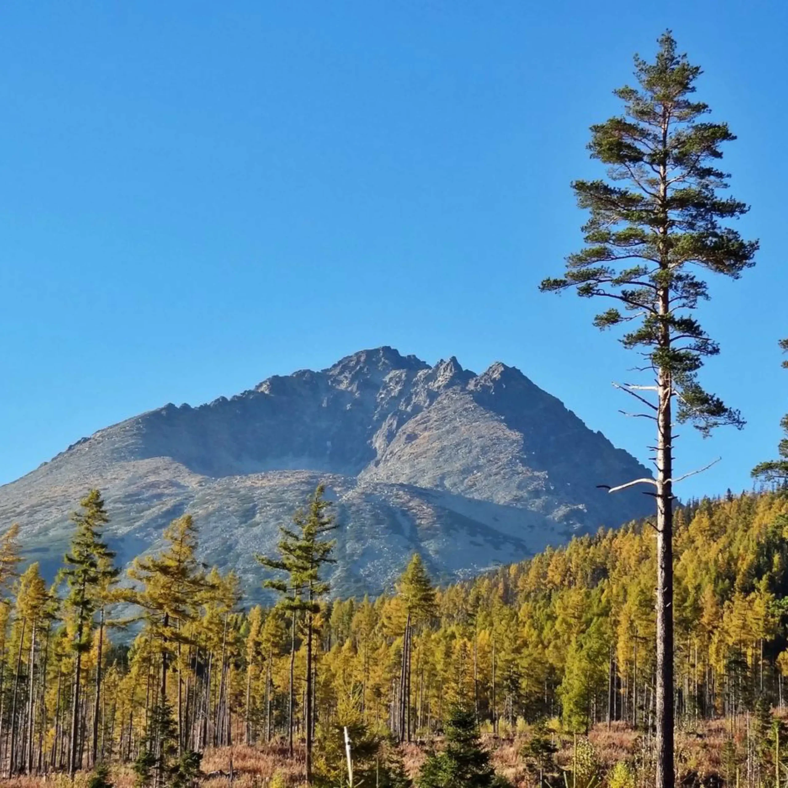 77D413E2 3298 4698 87DA A95205AF5FF4 scaled