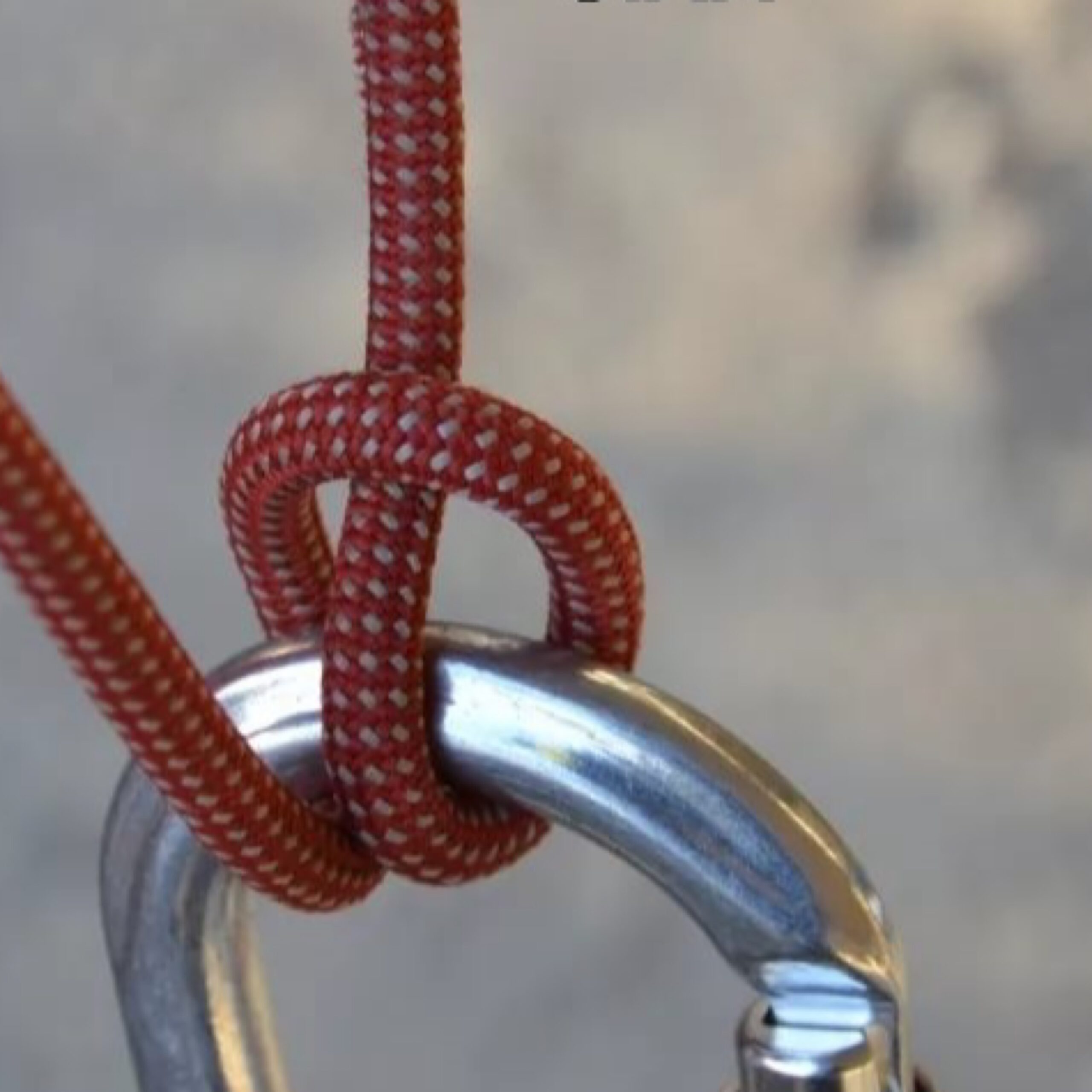 7EB6F129 331B 4E29 AE7F 79B20D752E23 scaled