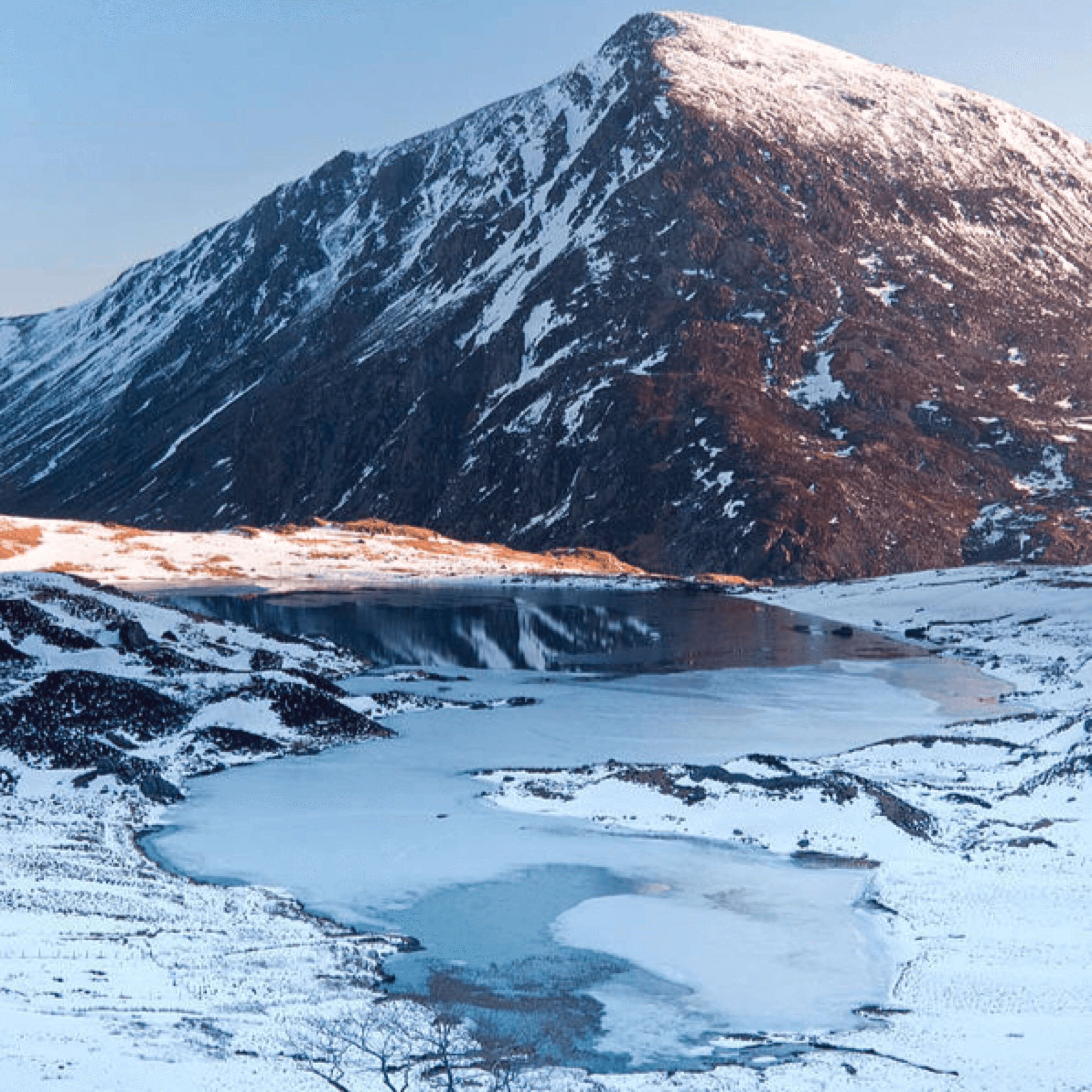 846CB10E 8E20 4324 9A0D AA728C6F72A3