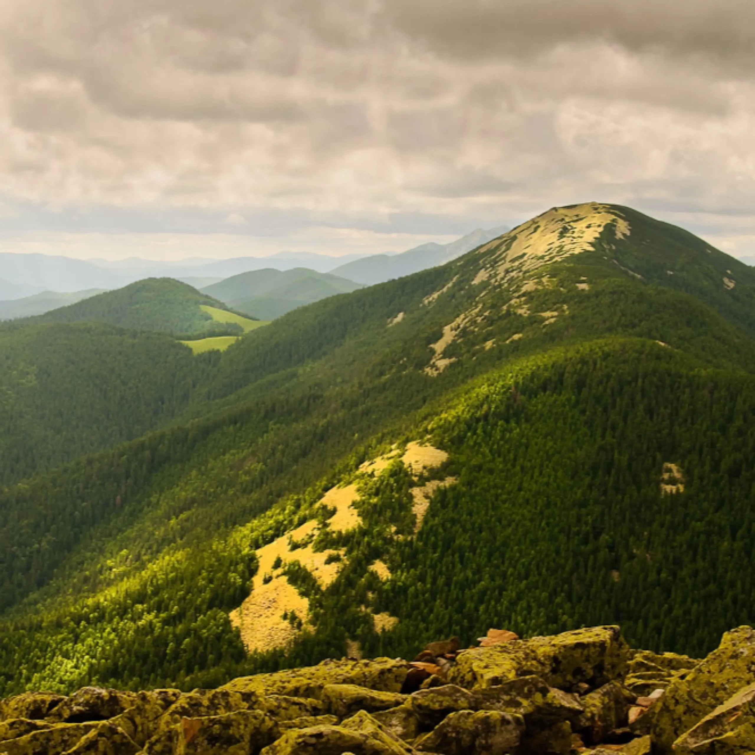 A0ECACF3 BFE7 4949 9FC0 238470EE72B3 scaled