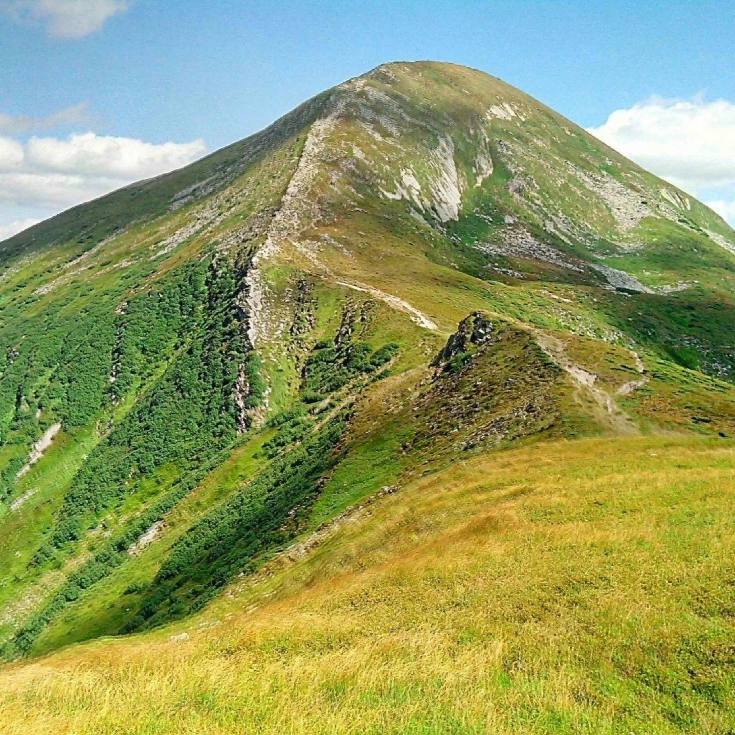 A69C29F5 1FA0 46E0 9D9D 5AE97339D6E4 scaled