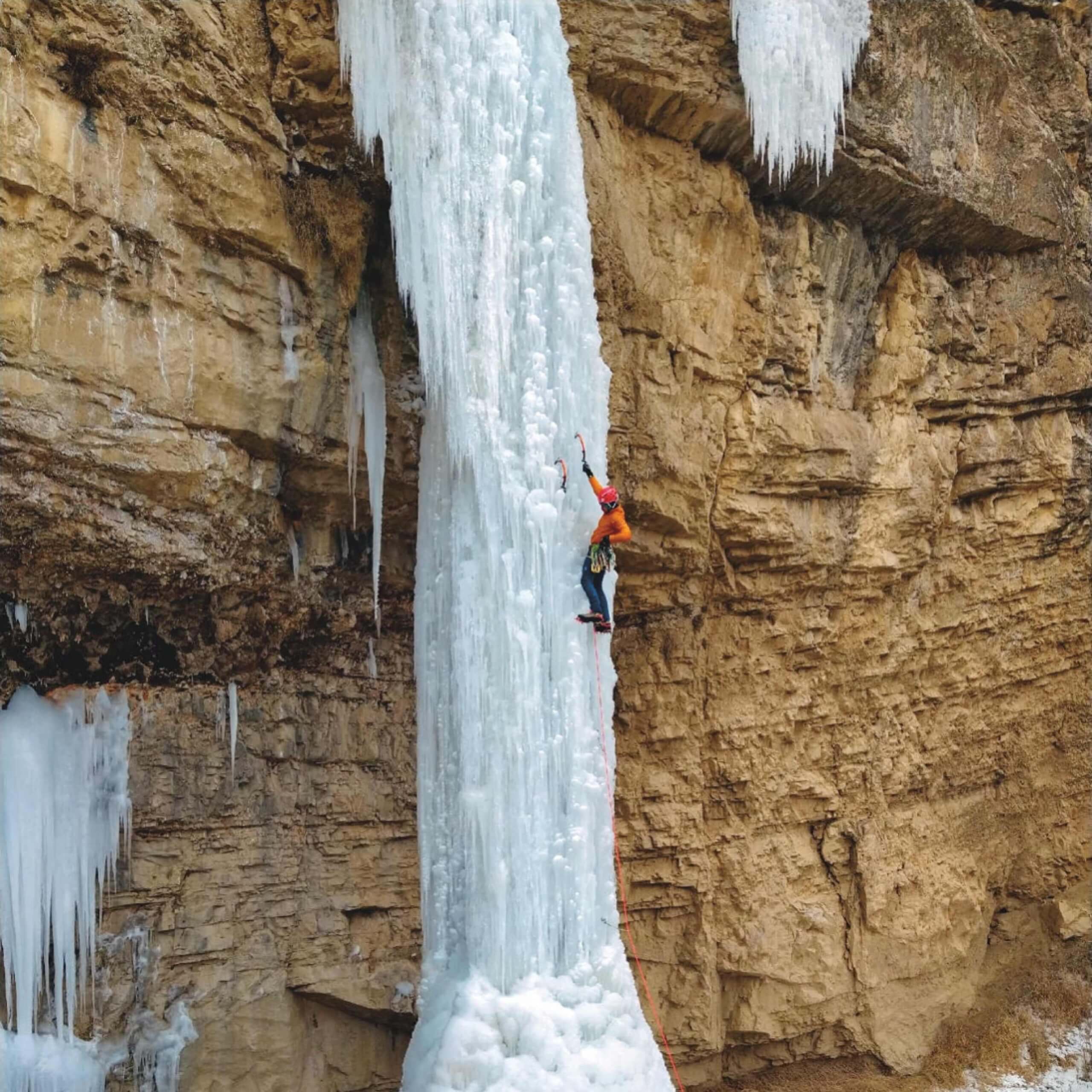 BB6B1D87 311C 4B98 8224 82DFDC80417E scaled