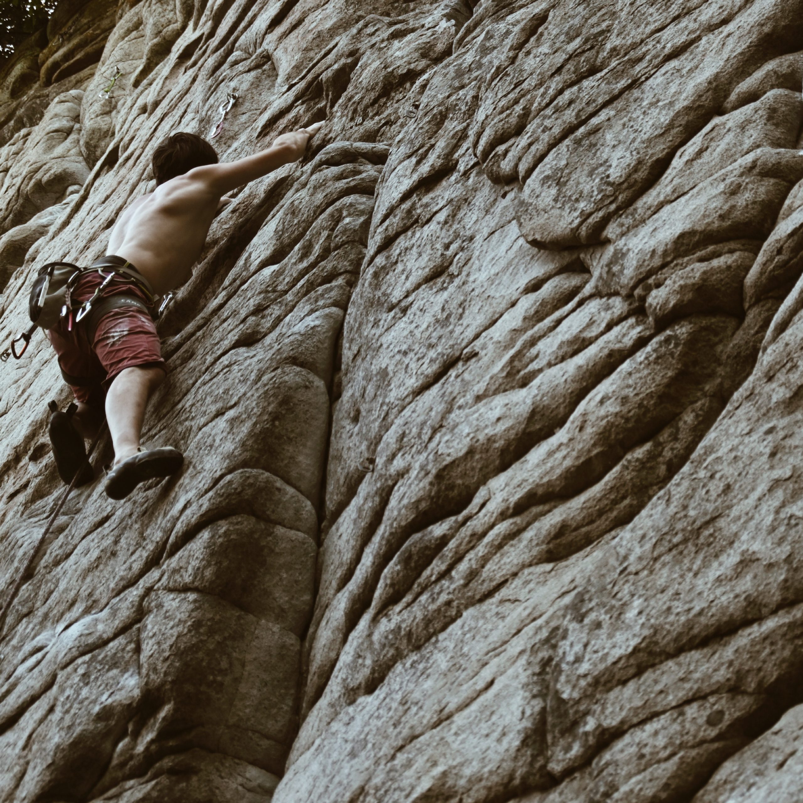 BEBE199A B605 4E5E A766 0A9A17689072 scaled