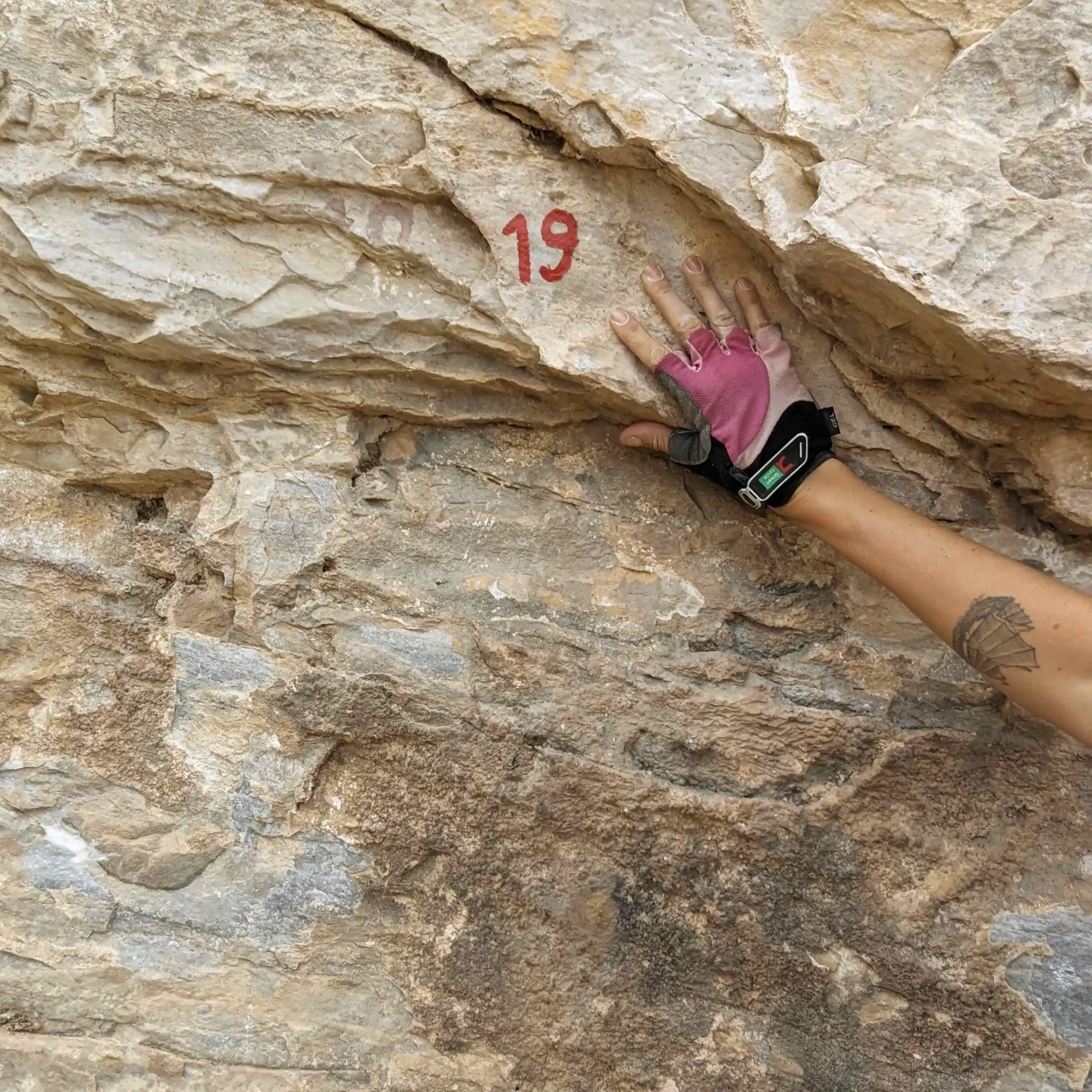 PXL 20230827 102457031 scaled