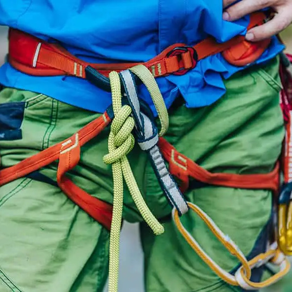 how should your harness fit 1